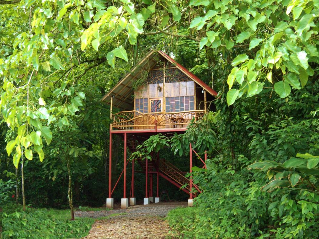 Bio Thermales Hot Springs Villa Palmera Eksteriør bilde